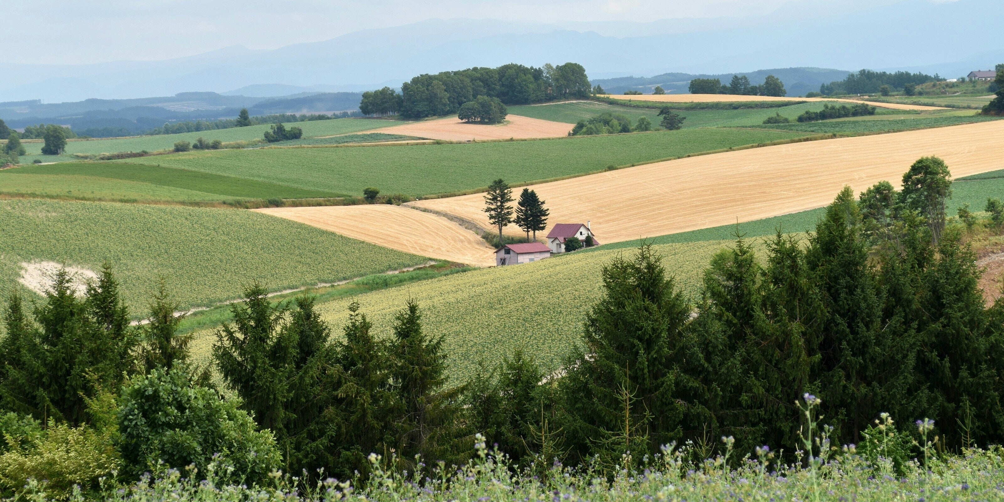 hokkaido